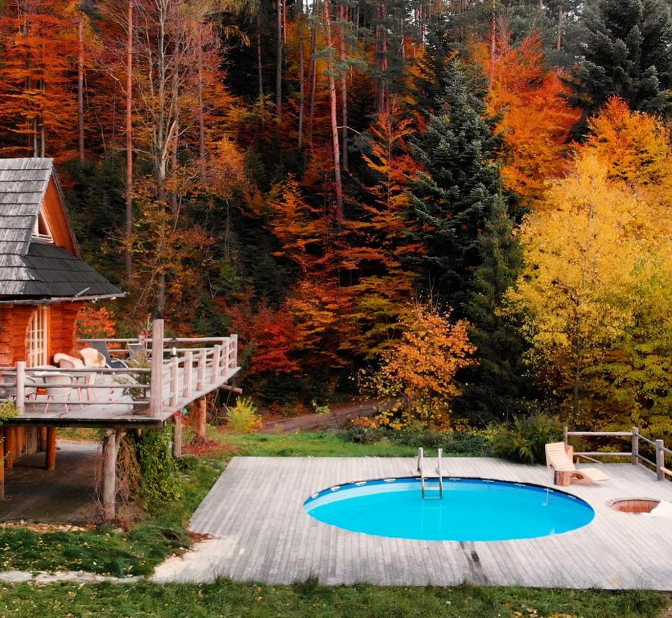 Chalet Poziomkowa Szczyrk